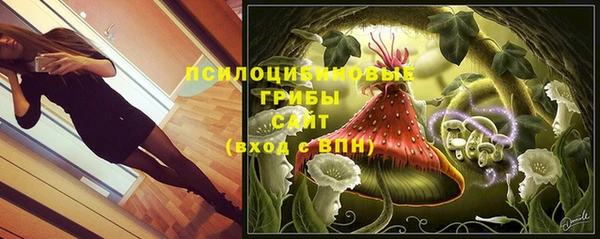экстази Переславль-Залесский