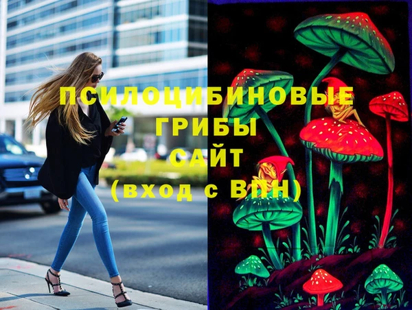 прущая мука Пересвет